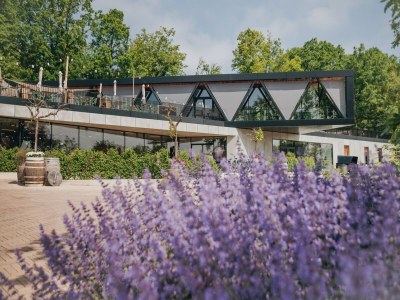 Holiday park Beautiful lodge in Gulpen with garden - Outdoor photo 35