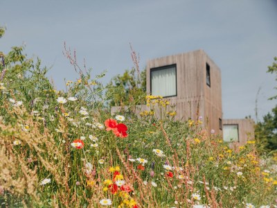 Holiday park Behindertenunterkunft in einem Ferienpark - Environment photo 15