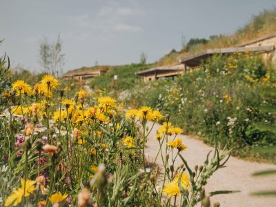 Holiday park Geräumige Lodge in Gulpen - Environment photo 15