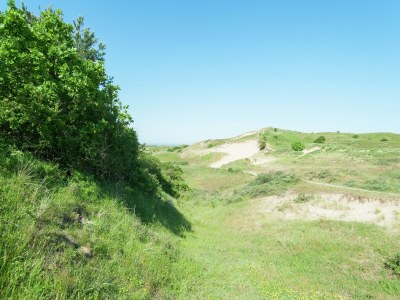 Holiday park Bloemendaal Beach Escape - Environment photo 15