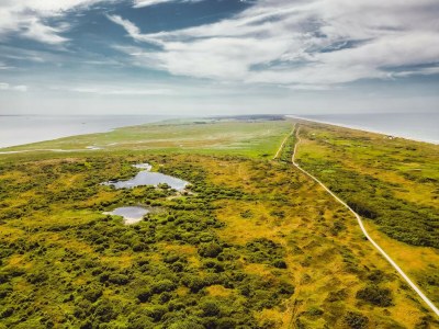 Holiday park Ameland Coastal Retreat - Environment photo 14