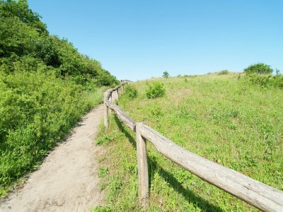 Holiday park Modernes Zandvoort-Refugium - Environment photo 17