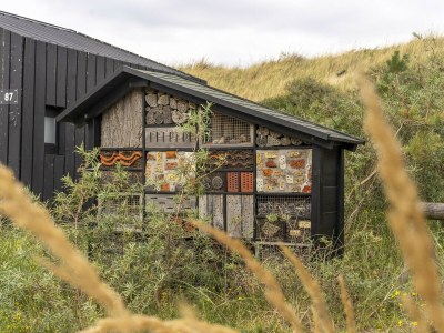 Holiday park Sea Lodge in Zandvoort near Beach - Outdoor photo 24