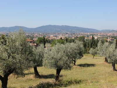 Villa Semplice casa vacanze a Pistoia con terrazza - Outdoor photo 13