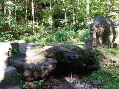 Apartment Appartement/Fewo, Toilette und Bad/Dusche getrennt - Outdoor photo 20