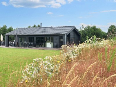 Holiday house 9 Personen Ferienhaus in Væggerløse-By Traum - Outdoor photo 15