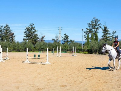 Holiday park Apartment in Vinci with Pool & Wellness - Outdoor photo 10