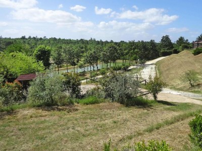 Holiday park Apartment in Vinci with Pool & Wellness - Outdoor photo 11