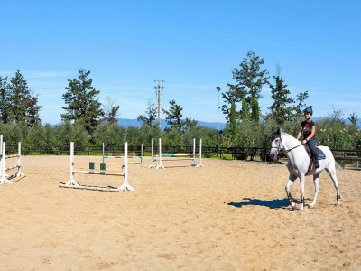 Holiday park Wohnung in Vinci mit Pool & Wellness - Outdoor photo 30