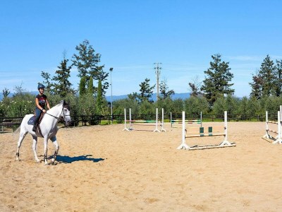 Holiday park Wohnung in Vinci mit Pool & Wellness - Environment photo 16