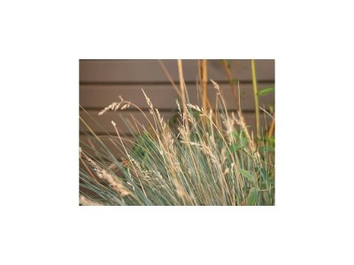 Apartment Haus-Nr: DOS05137-CYC - Outdoor photo 32