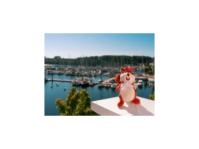 Apartment BEECH Resort Boltenhagen - Outdoor photo 31