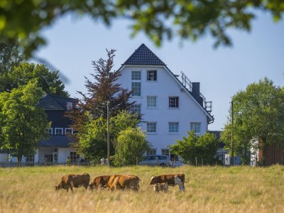 Holiday apartment Hotel Waldhaus Föckinghausen - Outdoor photo 8