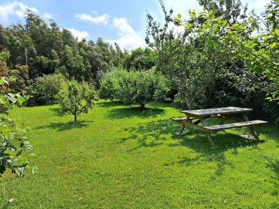 Holiday house Holiday home in Sibiril near sandy beaches - Outdoor photo 3