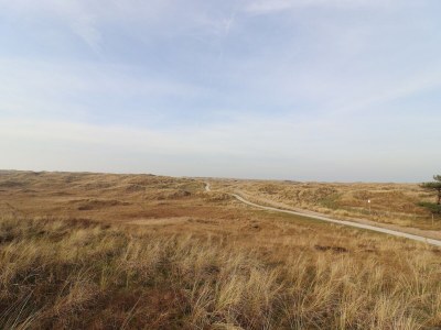 Holiday house Safari Tent in Netherlands near Dunes & Sea - Environment photo 14