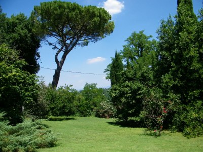 Apartment Apartment Podere la Pergola - small & exquisite, pool, restaurant, German-Italian landlords - Outdoor photo 12