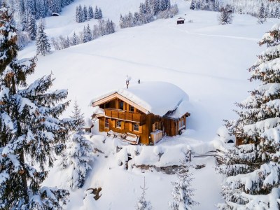 Holiday house Chalet in Hollersbach near Kitzbühel Ski Lift - Outdoor photo 5