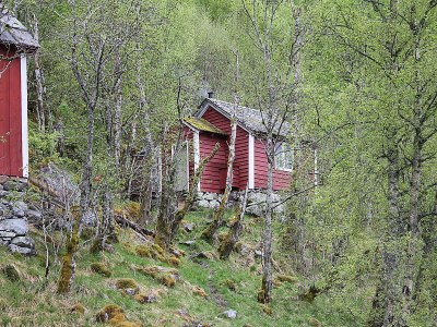 Chalet Cabin by the fjord - Environment photo 11