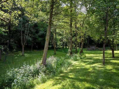 Farmhouse Schönes Bauernhaus in Sivry-Rance mit Garten - Outdoor photo 7