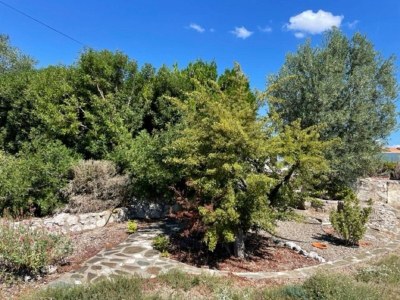 Holiday house Modern Comfort in Minervois - Outdoor photo 6