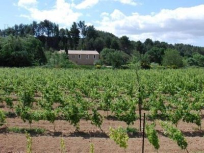 Holiday house Modern Comfort in Minervois - Environment photo 26