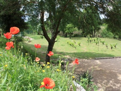 Holiday house Modern Comfort in Minervois - Environment photo 35