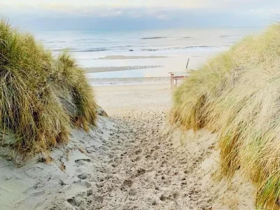 Holiday house Charming lodging near the beach in De Koog - Environment photo 14