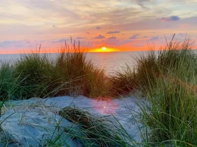 Holiday house Charming lodging near the beach in De Koog - Environment photo 15