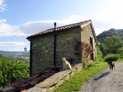 Holiday house La Casetta - Outdoor photo 4