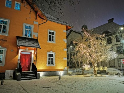 Holiday room Sound of Music - App. mit 1 Schlafzimmer und Küche - Outdoor photo 13