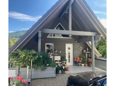 Apartment Ferienhaus in Möhrenbach über 2 Etagen - Outdoor photo 9