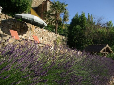 Holiday apartment Welcome to the countryside retreat Chatibot. - Outdoor photo 4