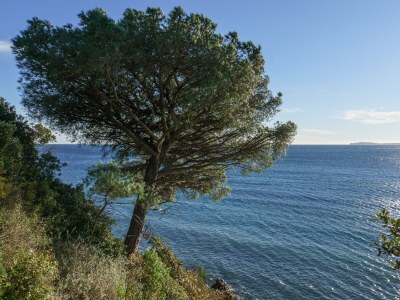 Holiday house Le Petit Paradis - Environment photo 27