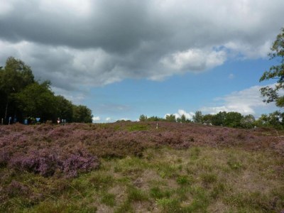 Holiday park Safari Tent Near Lauwersmeer Park - Environment photo 10