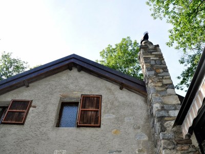 Holiday house Typical, Romantic Tessiner Cottage - Outdoor photo 5