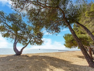caravan Mobilheim in Var nahe Miramar Strand - Environment photo 32