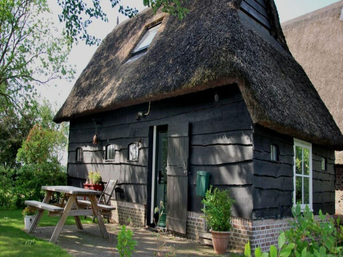 Holiday house Holiday Home in Ruinerwold with Garden