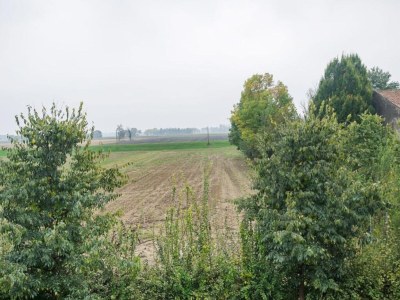 Cottage Wohnung nahe Fluss Po und Cremona - Environment photo 31