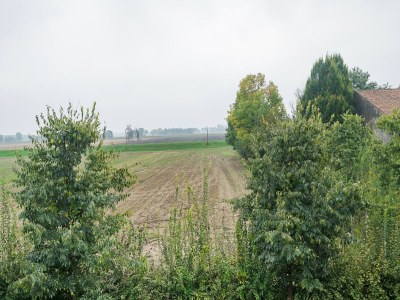 Cottage Villa in Lombardy near Po River - Environment photo 35