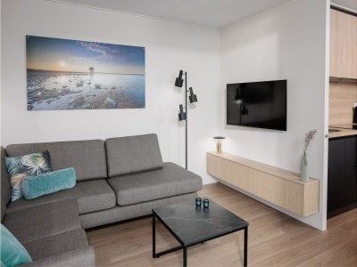 Holiday park Lodge near Brouwersdam & North Sea Beaches - Features photo 5