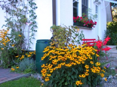 Holiday apartment Am Mühlberg in Insel Hiddensee - Holiday apartment