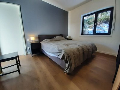Holiday house Villa in Winterberg in der Nähe des Skigebietes - Features photo 20