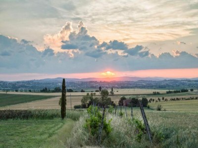 Villa Villa in Cortona mit Pool und Chiana Aussicht - Environment photo 20