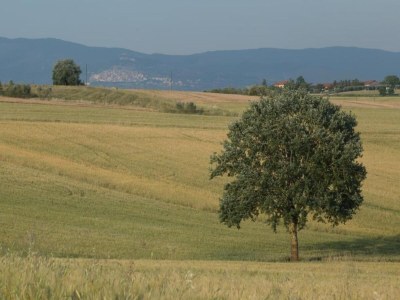Villa Villa in Cortona mit Pool und Chiana Aussicht - Environment photo 22