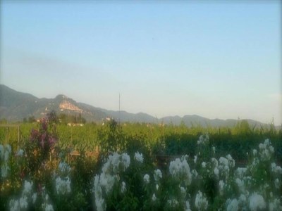 Villa Villa in Cortona mit Pool und Chiana Aussicht - Environment photo 27
