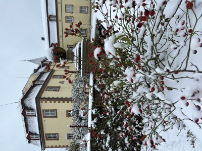 Apartment Ferienhaus (250 qm, bis 14 Personen) - Outdoor photo 23