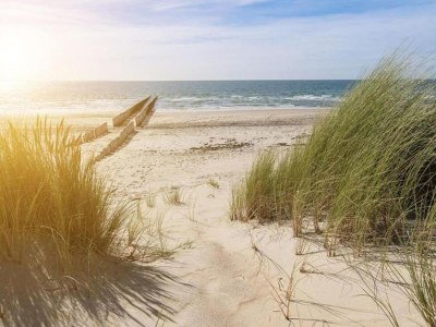 Holiday park Villa in Cadzand-Bad near North Sea Beach - Environment photo 10