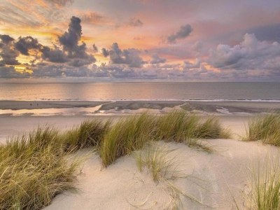 Holiday park Villa in Cadzand-Bad near North Sea Beach - Environment photo 19