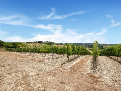 Apartment Bauernhaus in Chianti mit Pool & Garten - Environment photo 30