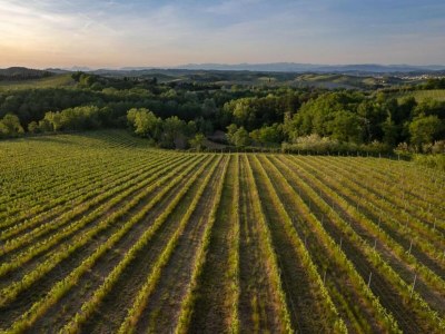 Apartment Bauernhaus in Chianti mit Pool & Garten - Environment photo 38